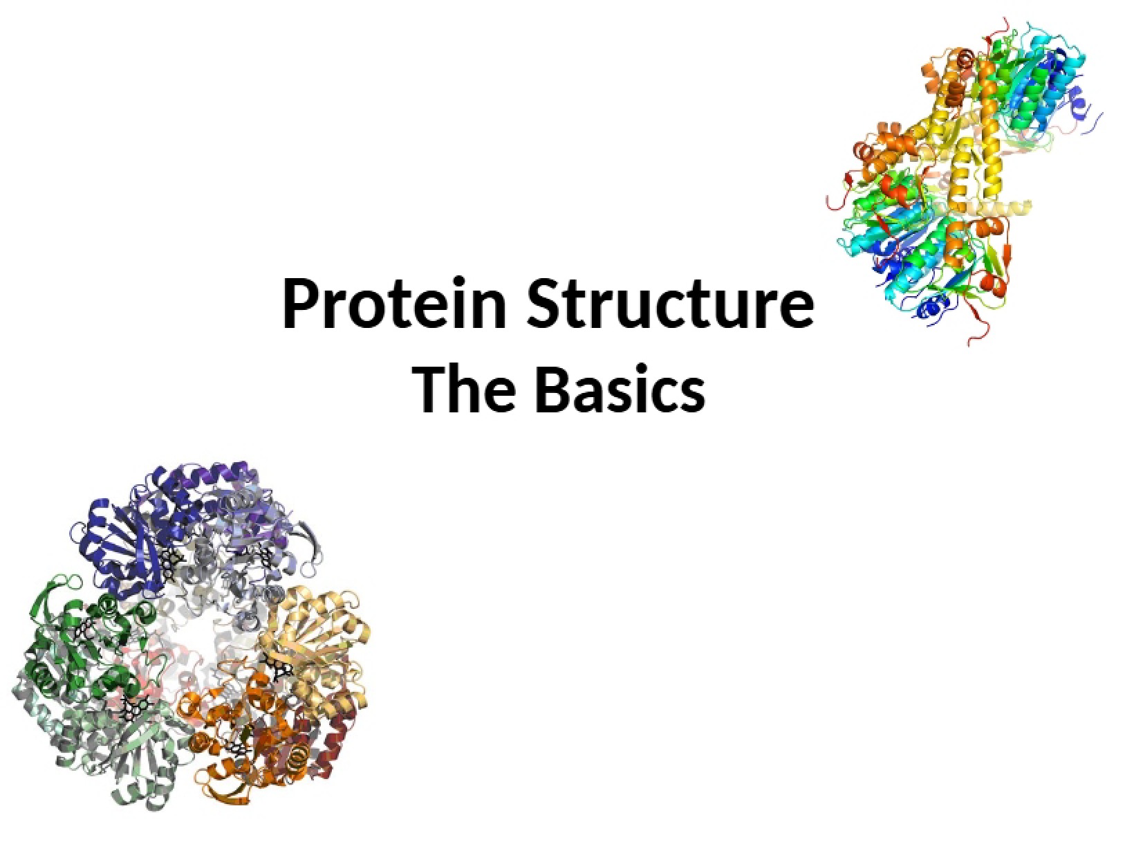 Structure of Proteins Lecture 07