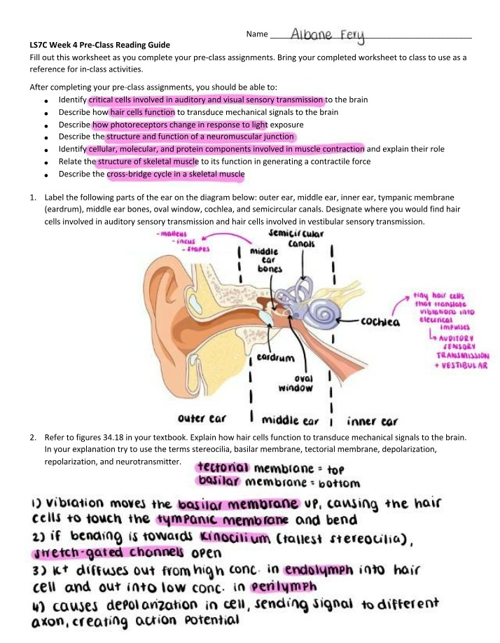 Pre-Class Reading Guide - LS7C Week 4