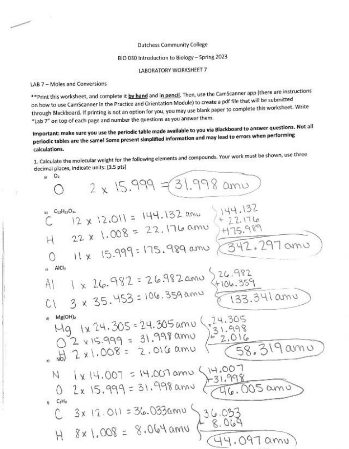 Worksheet 7 for Laboratory