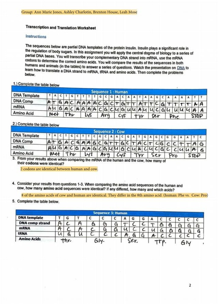 Worksheet on Transcription and Translation