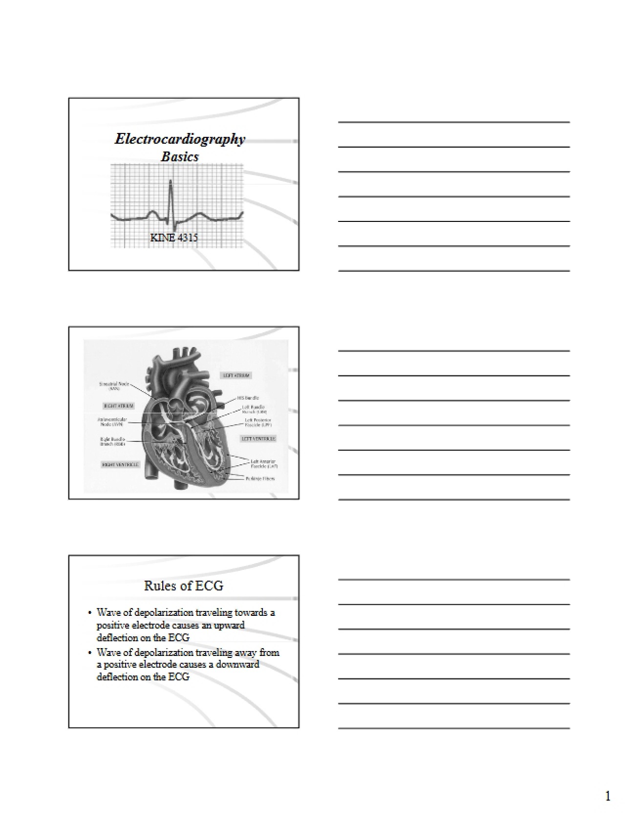 Fundamental Principles of Electrocardiography