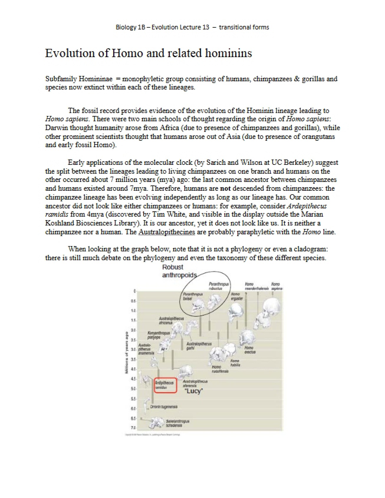 Hominin and Homo Evolution