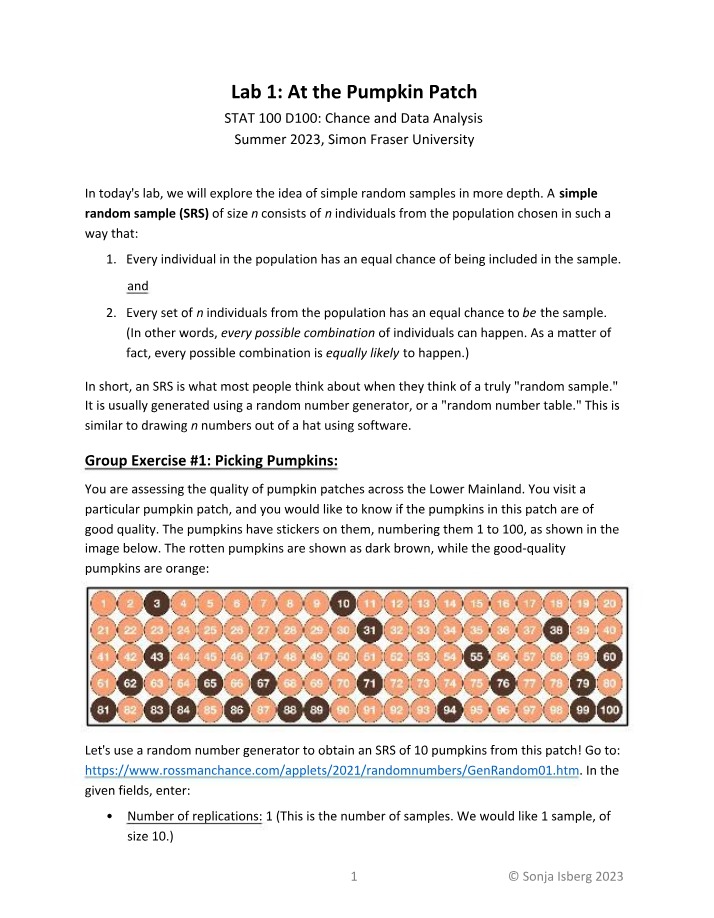 Pumpkin Patch Lab - Lab 1