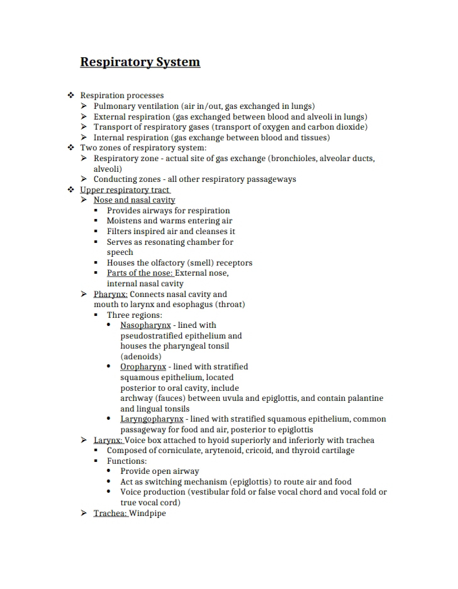 Respiratory System Overview