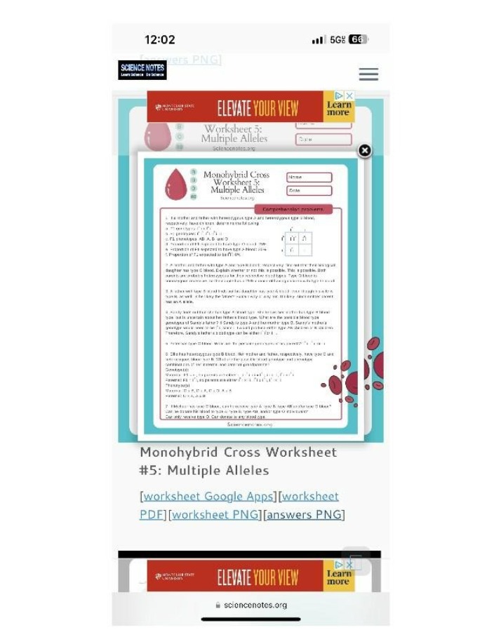 Worksheet 5 - Monohybrid Cross and Multiple Alleles