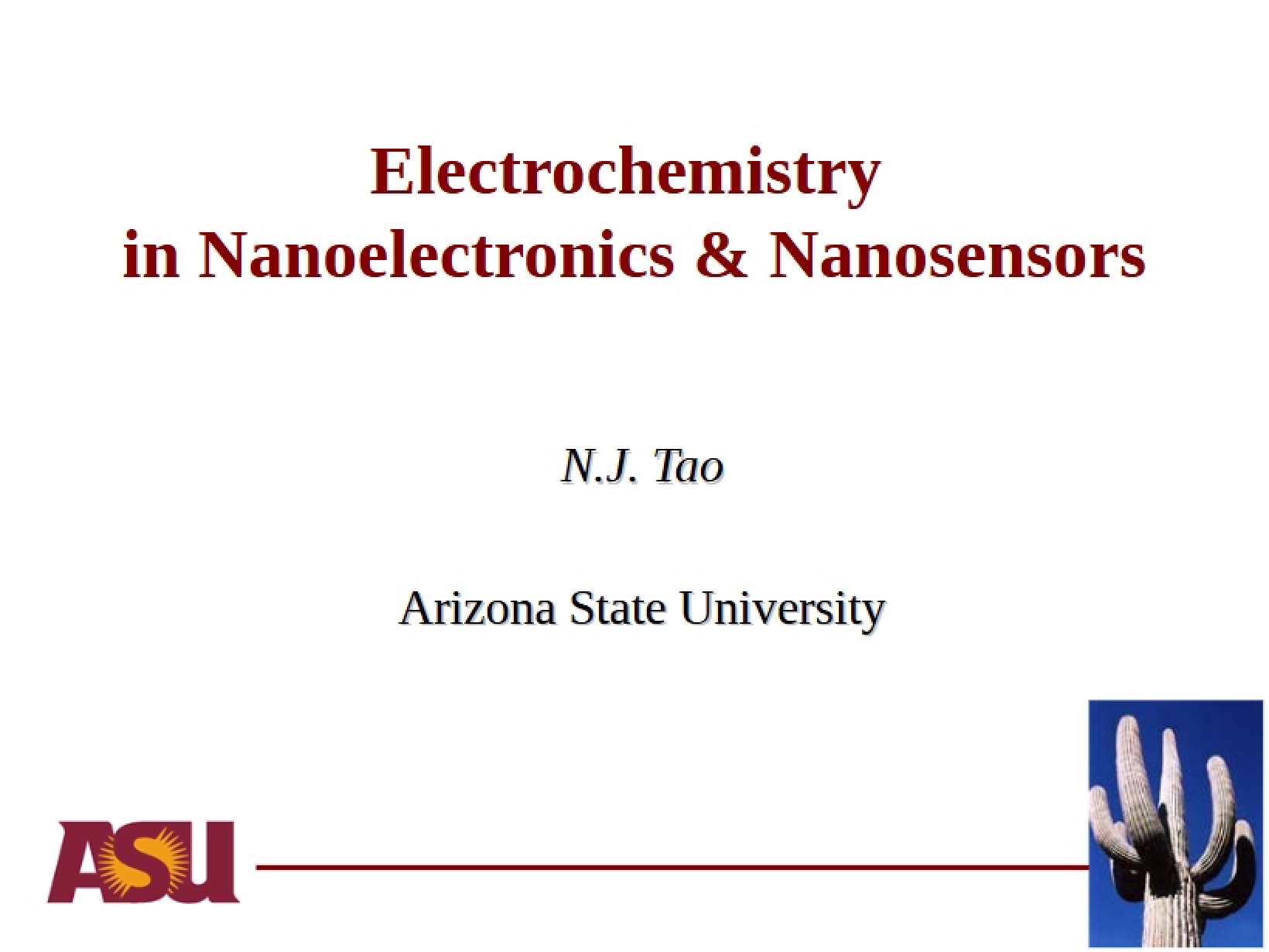 Nanosensors and Nanoelectronics Electrochemistry