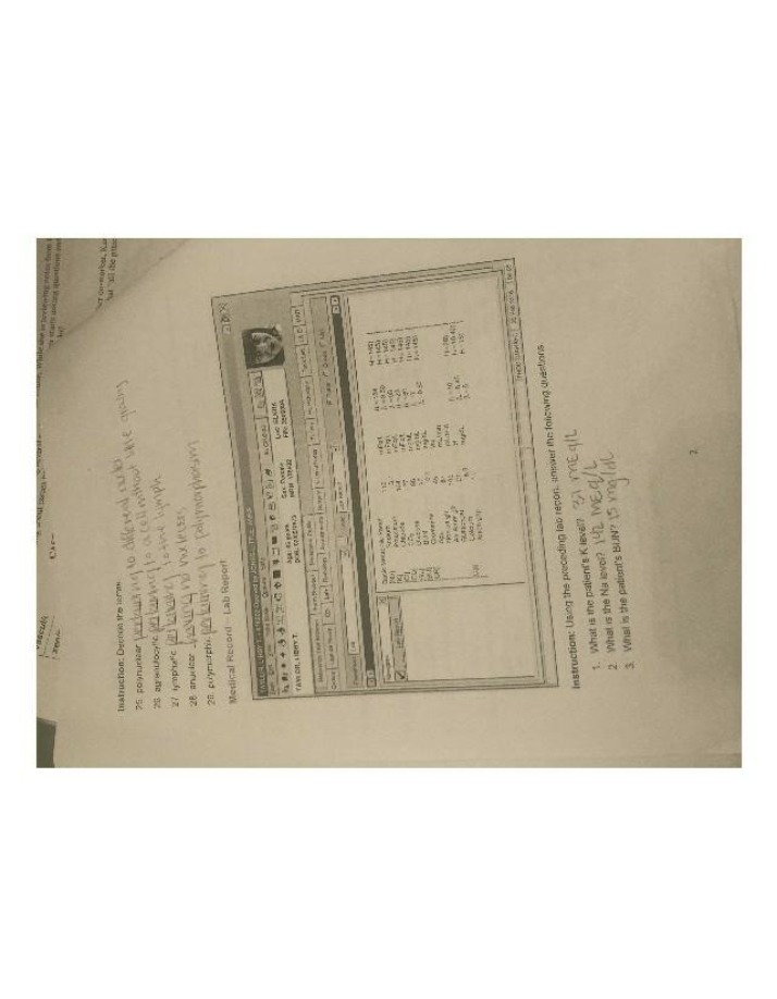 Lab Report on Medical Records