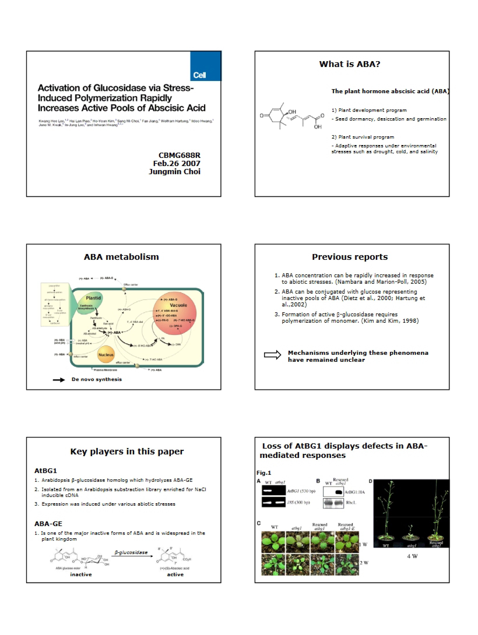 Glucosidase Activation