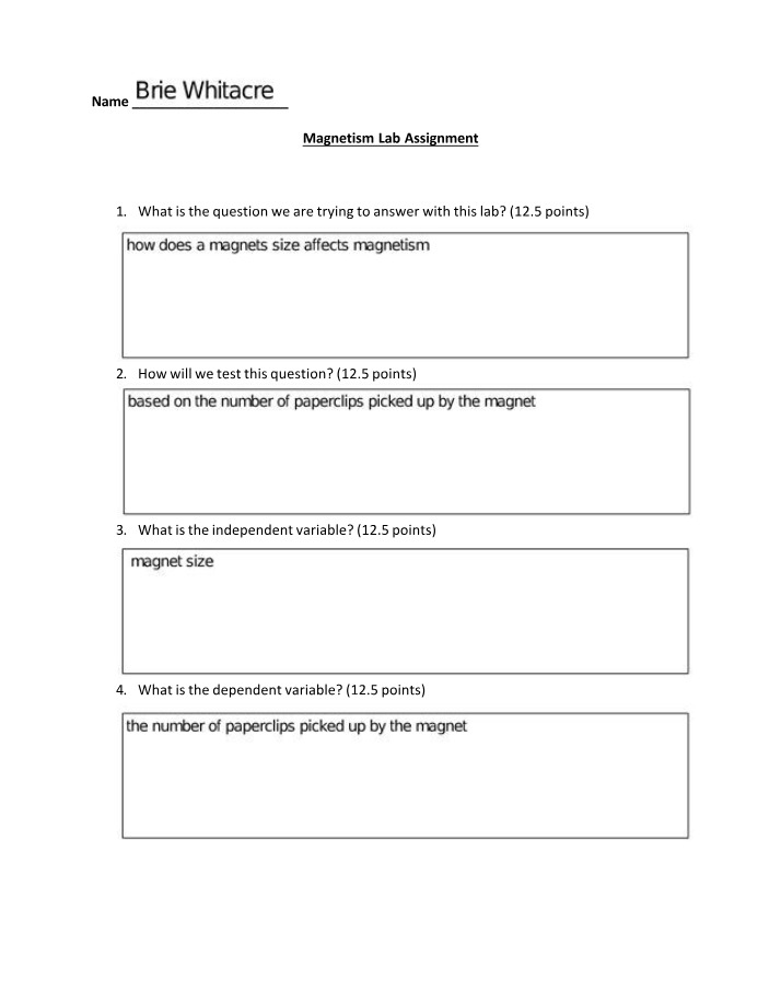 Assignment for Magnetism Lab
