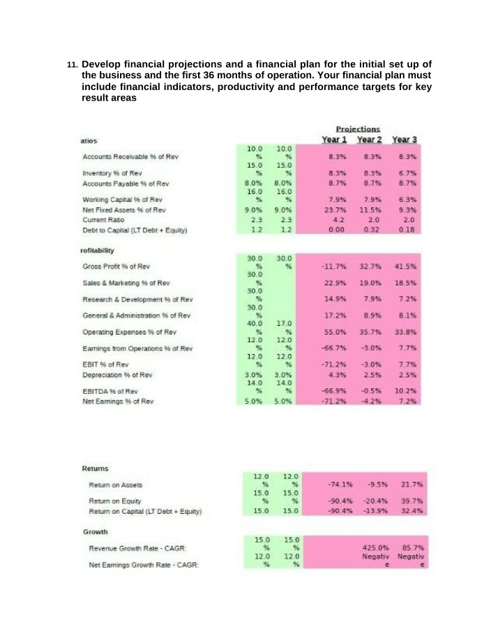 Business Plan and Financial Projections for Successful Operations