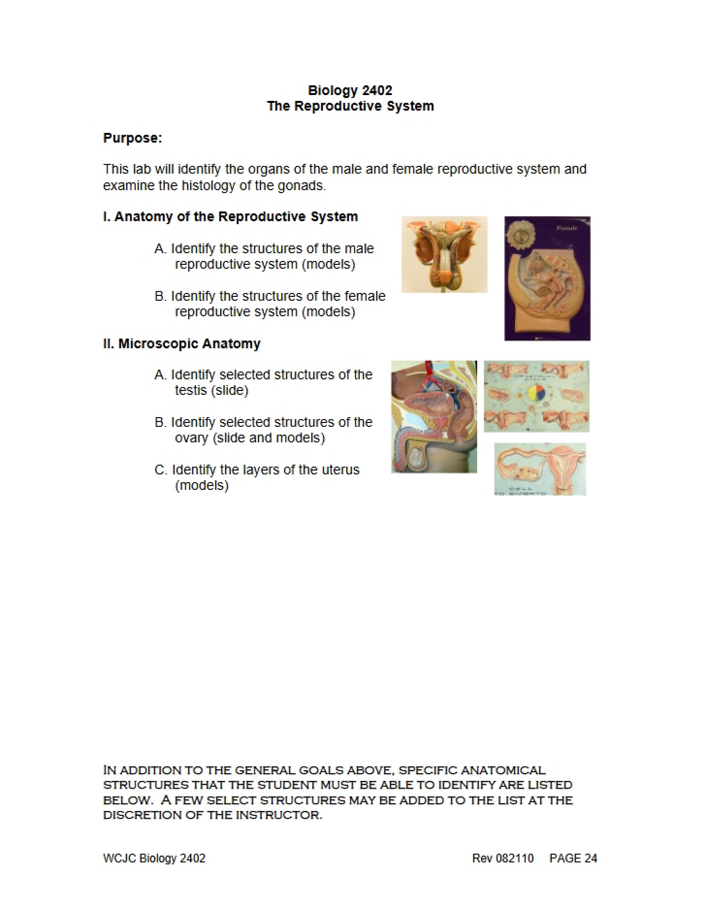 Reproductive System Overview
