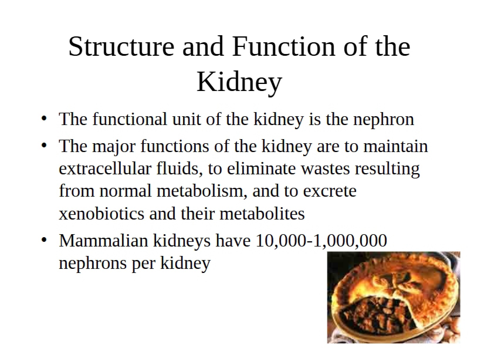 Renal Anatomy and Physiology