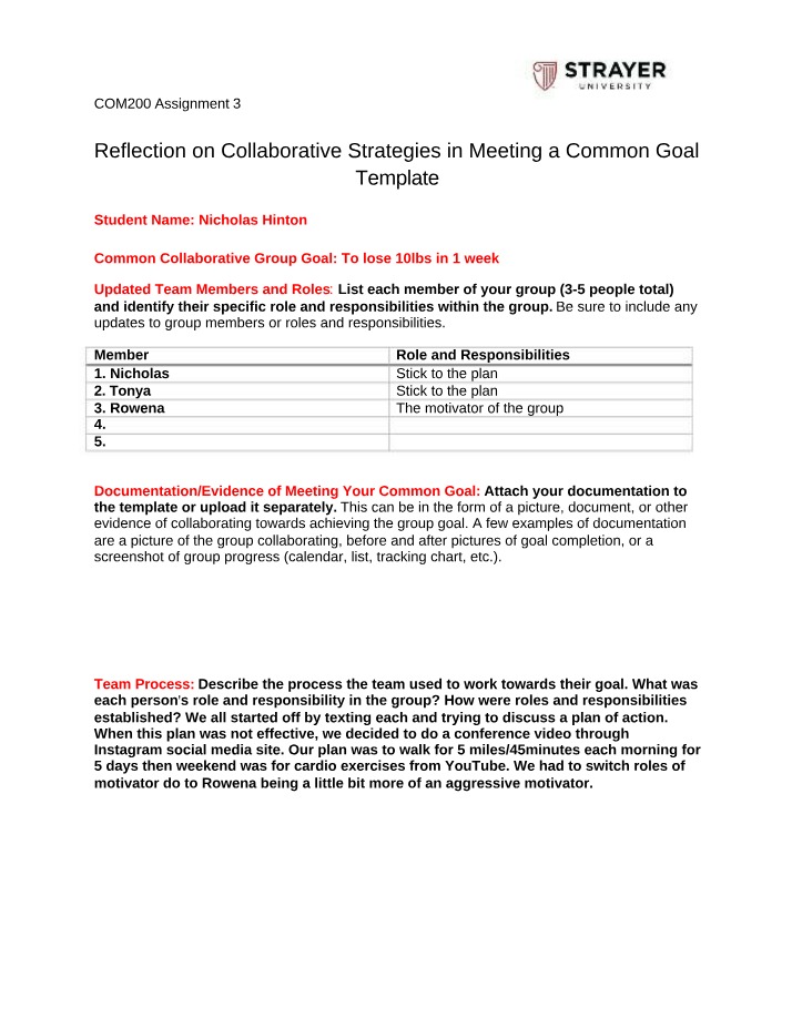 Collaborative Strategies for Achieving a Common Goal - Reflection