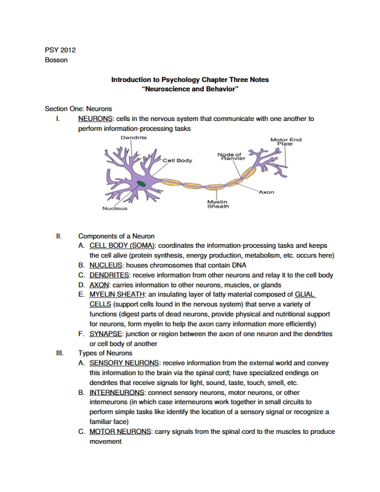 Behavior and Neuroscience