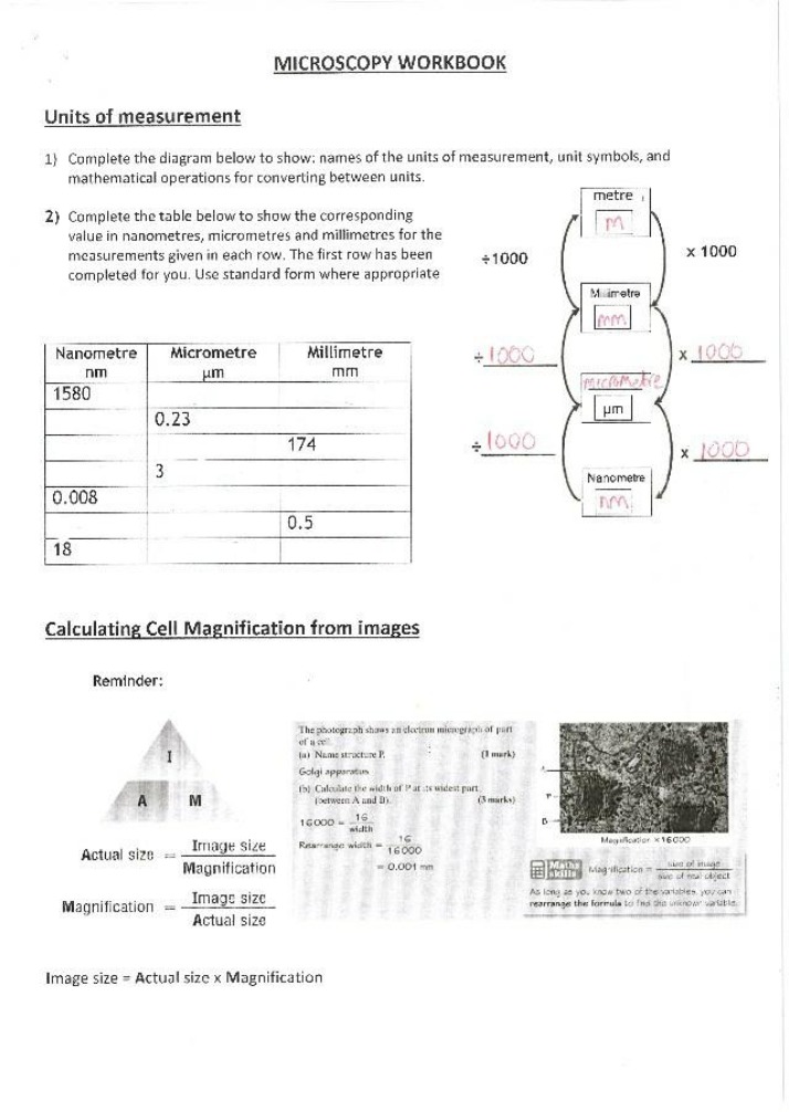 Workbook on Microscopy