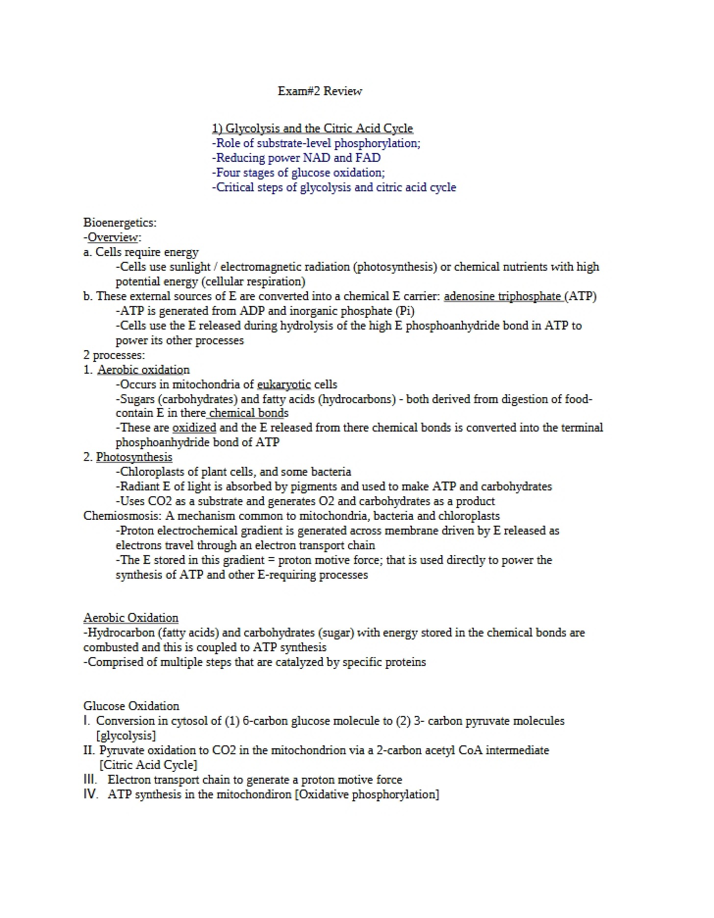 Examination Two