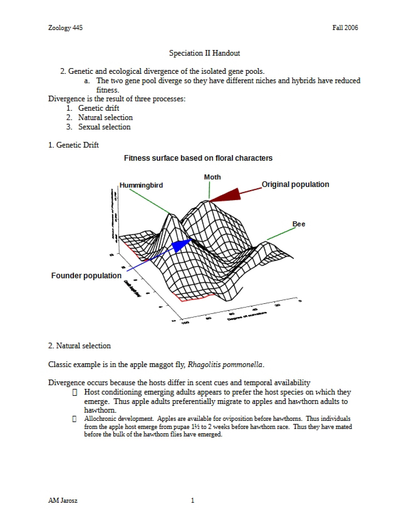 Handout Speciation II