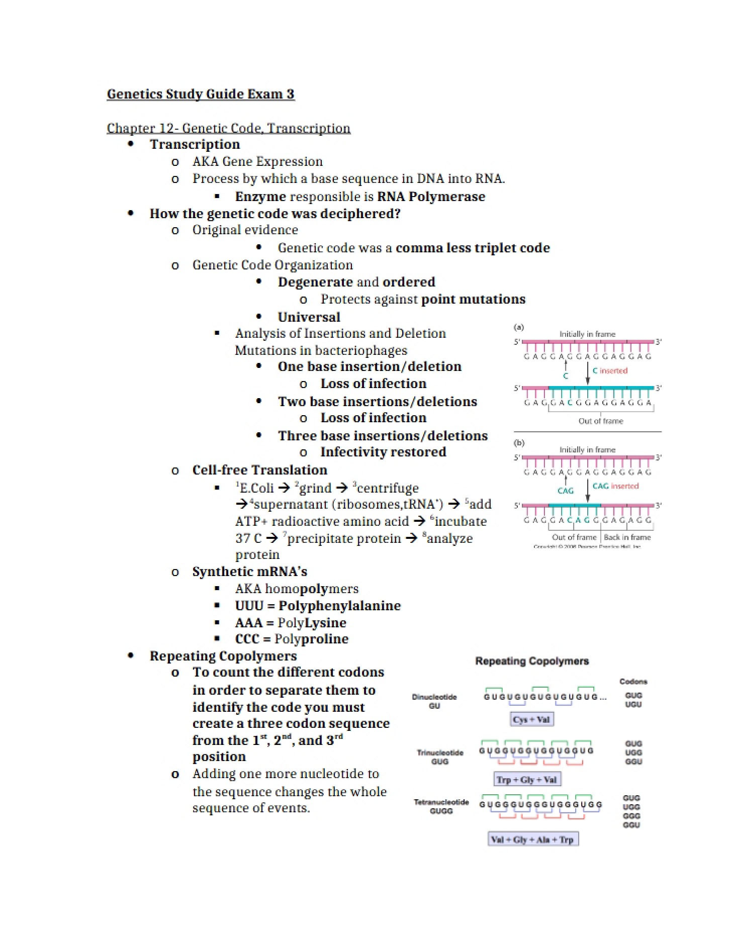 Genetic Code and Transcription (Chapter 12)