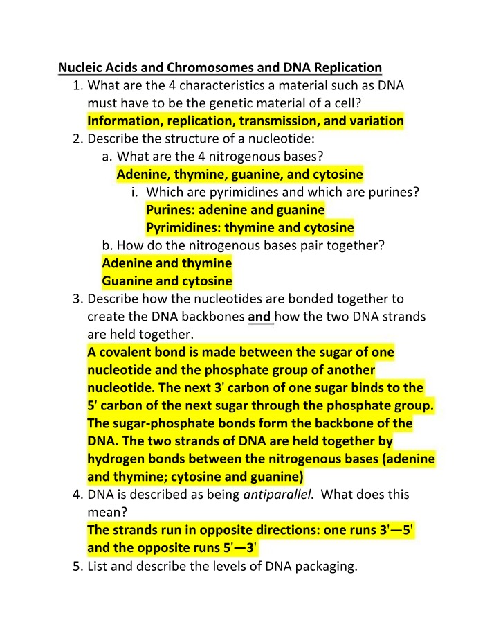 DNA Replication, Transcription, Translation, and Mendelian Patterns