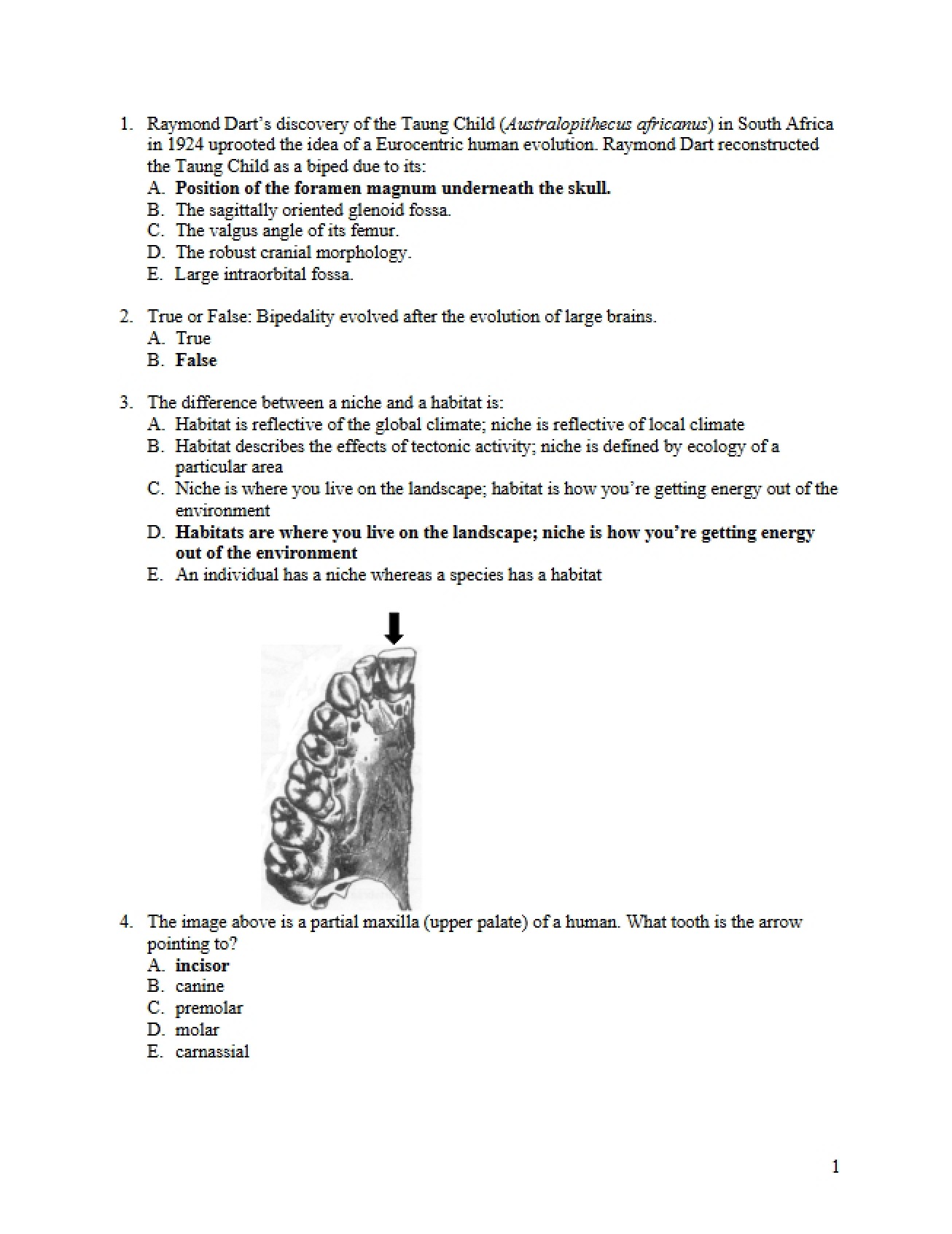 Second Midterm