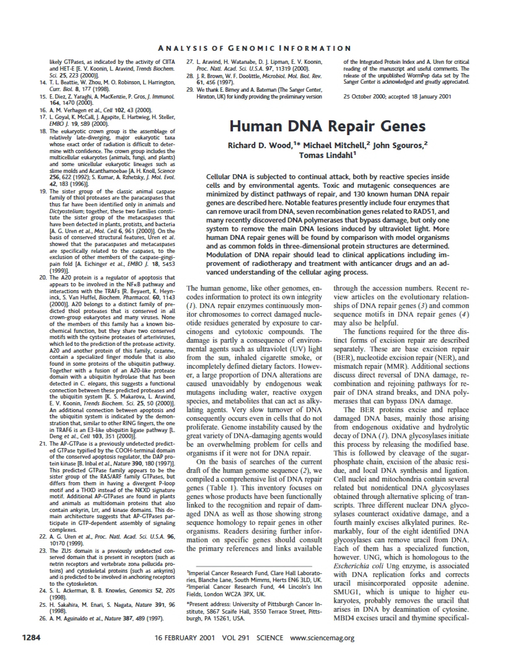 Enzymes for DNA Repair