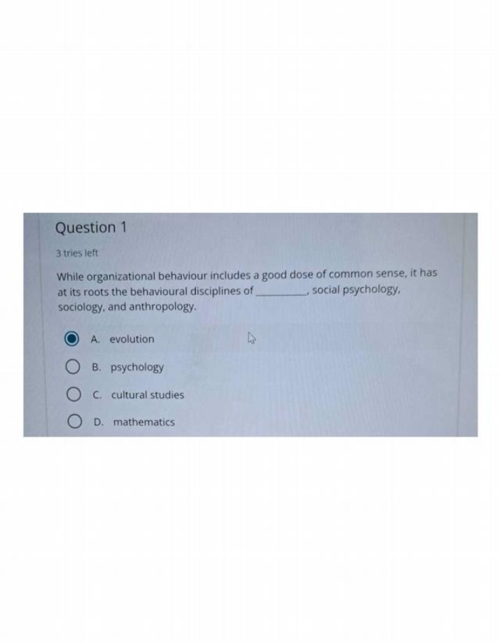 Question for Organizational Behaviour