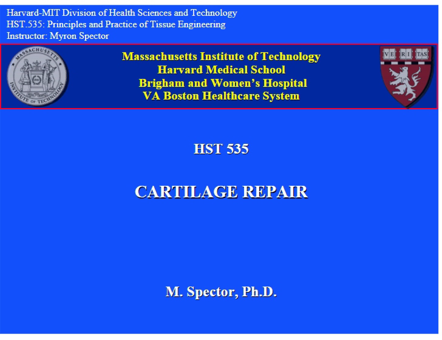 Repairing Cartilage