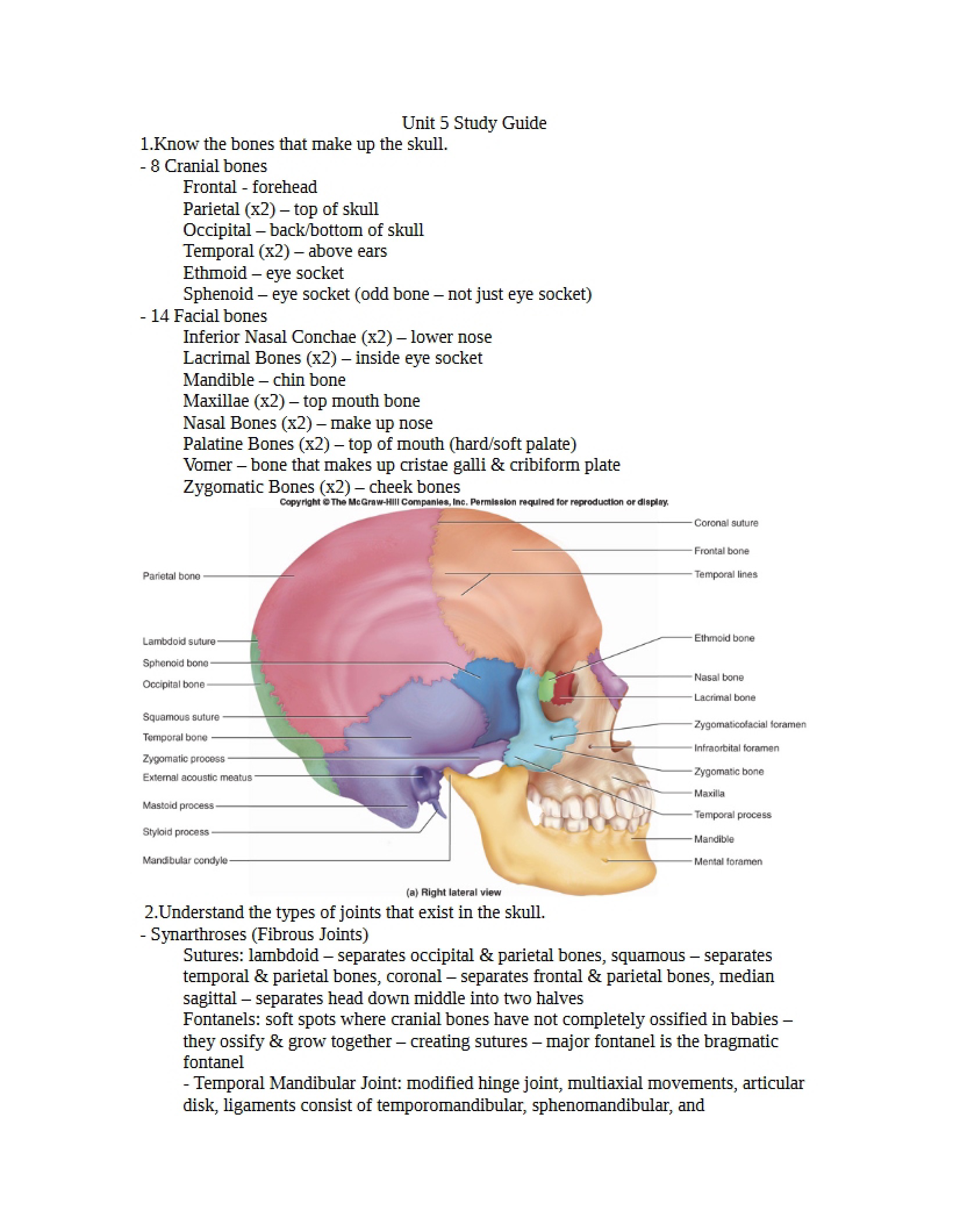 Fifth Exam Study Guide