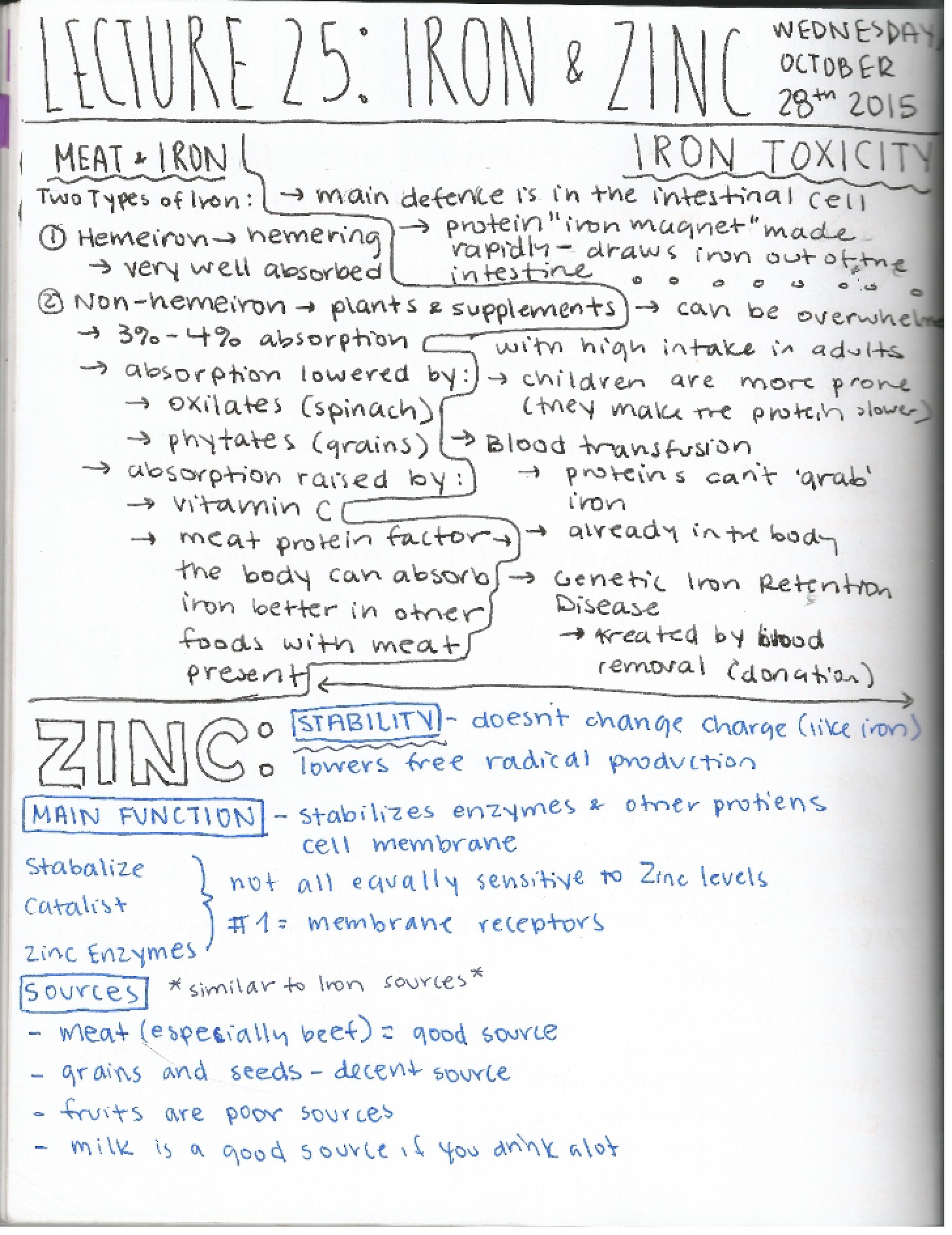 Twenty-Fifth Lecture