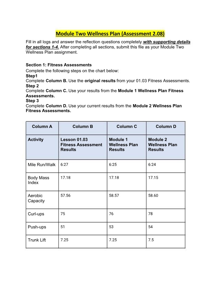 Wellness Plan Assessment - Module Two 2.08