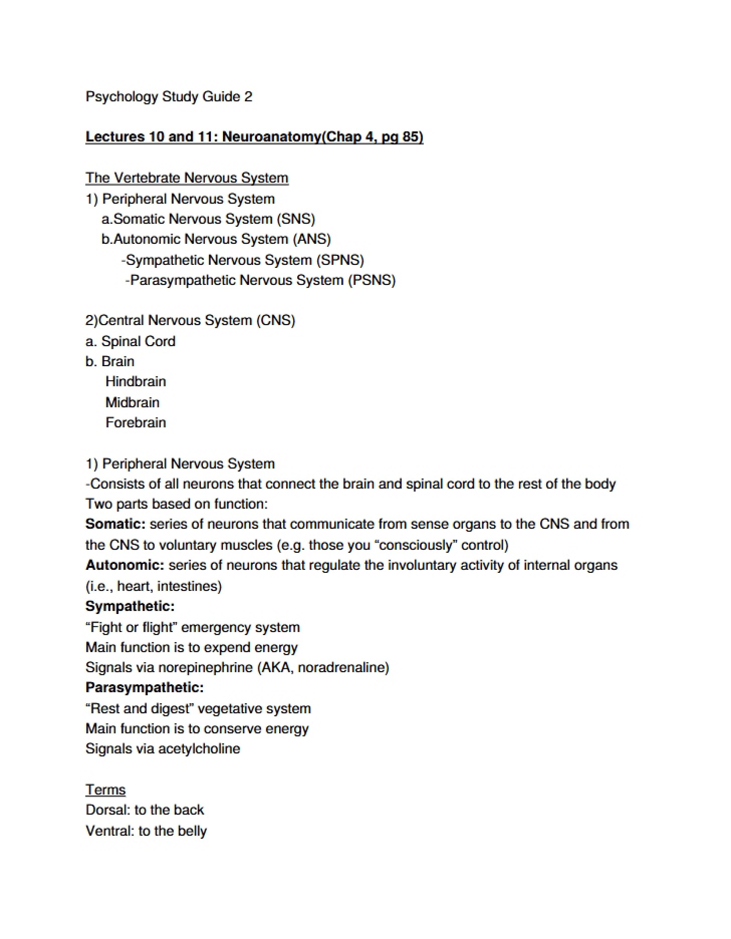 Neuroanatomy Lectures 10 & 11