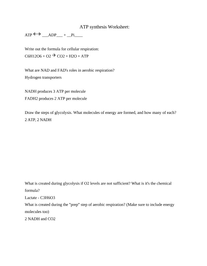 Worksheet on ATP Synthesis