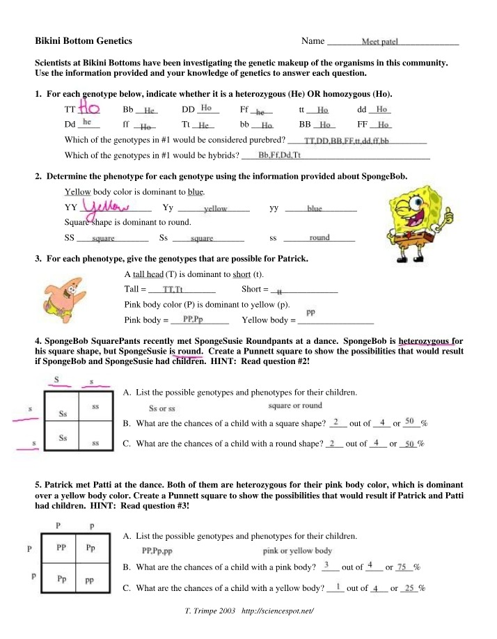 Bikini Bottom Genetics - Genotypes and Phenotypes