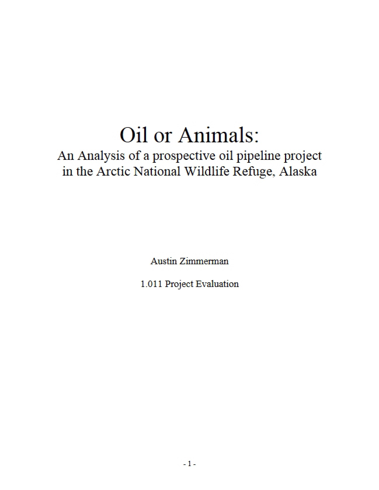 Oil Pipeline Analysis