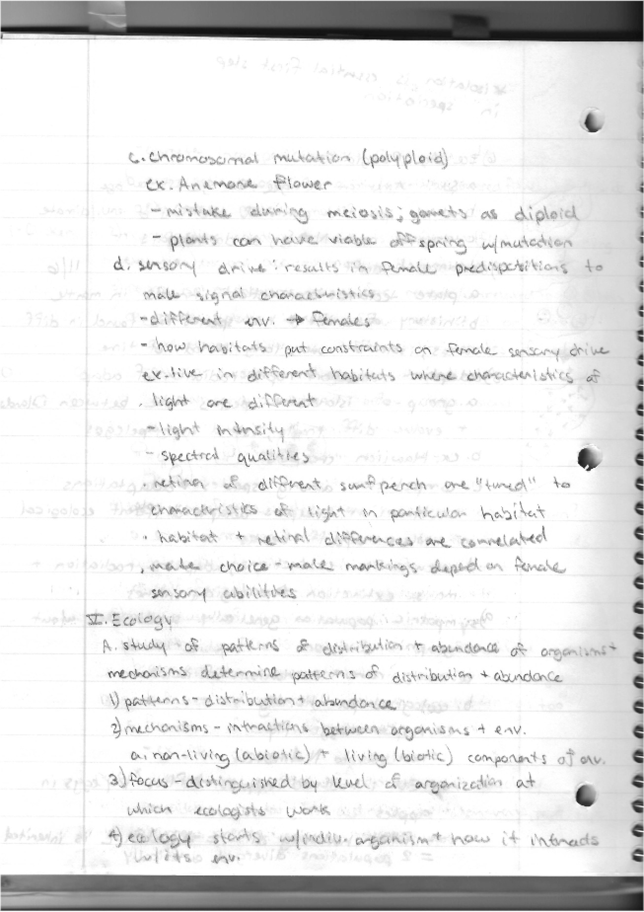Biology II Notes Part 3