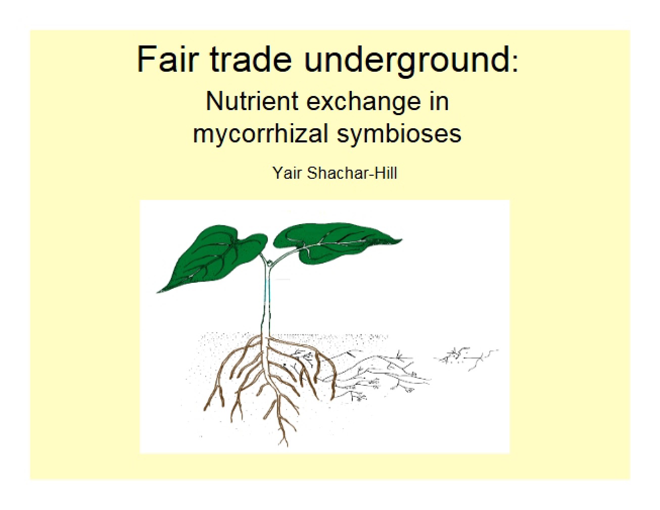 Underground Fair Trade