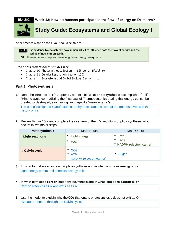Human Influence on Nutrient Cycling and Energy Flow