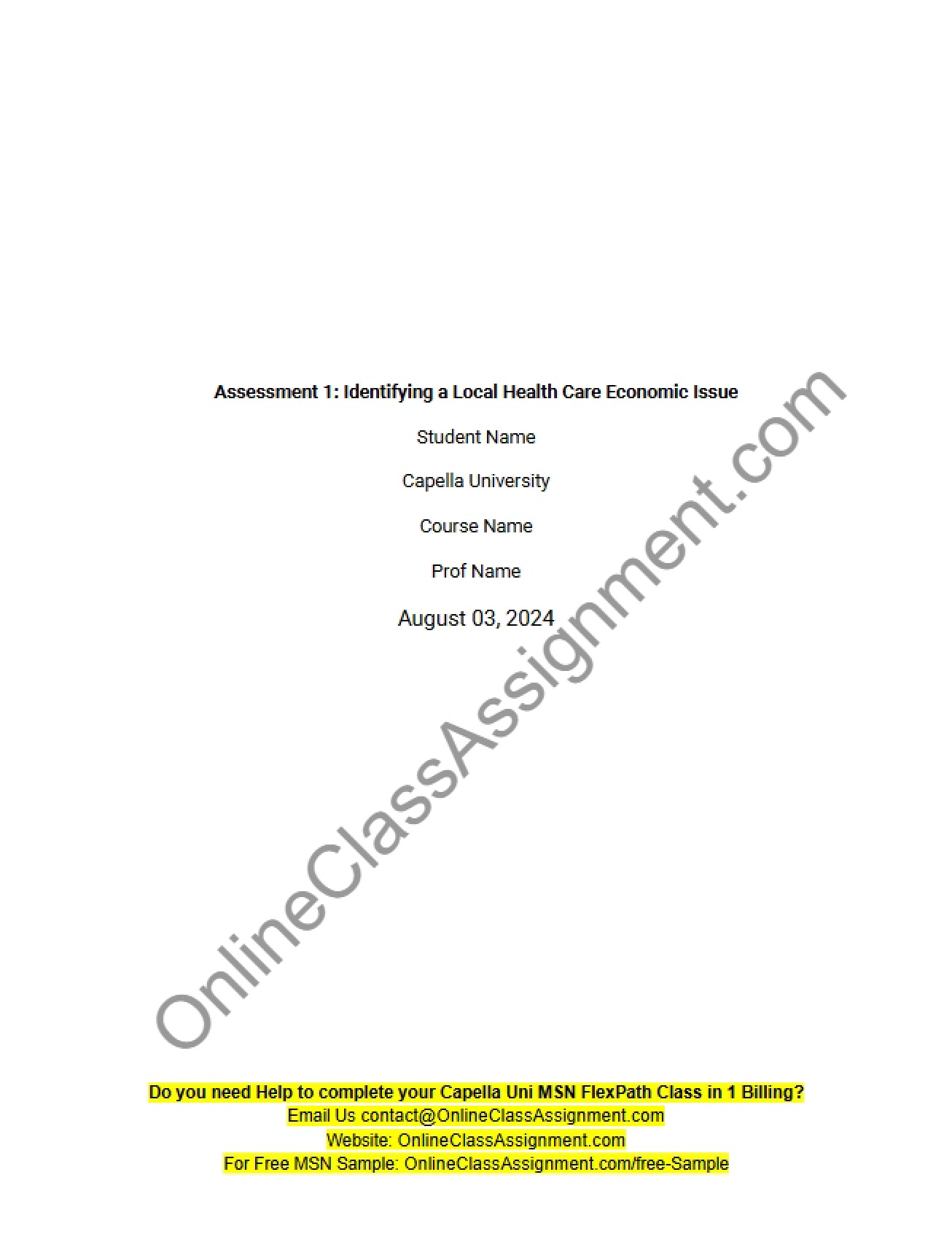 Local Health Care Economic Issues Identification (Assessment 1) - 6 Pages