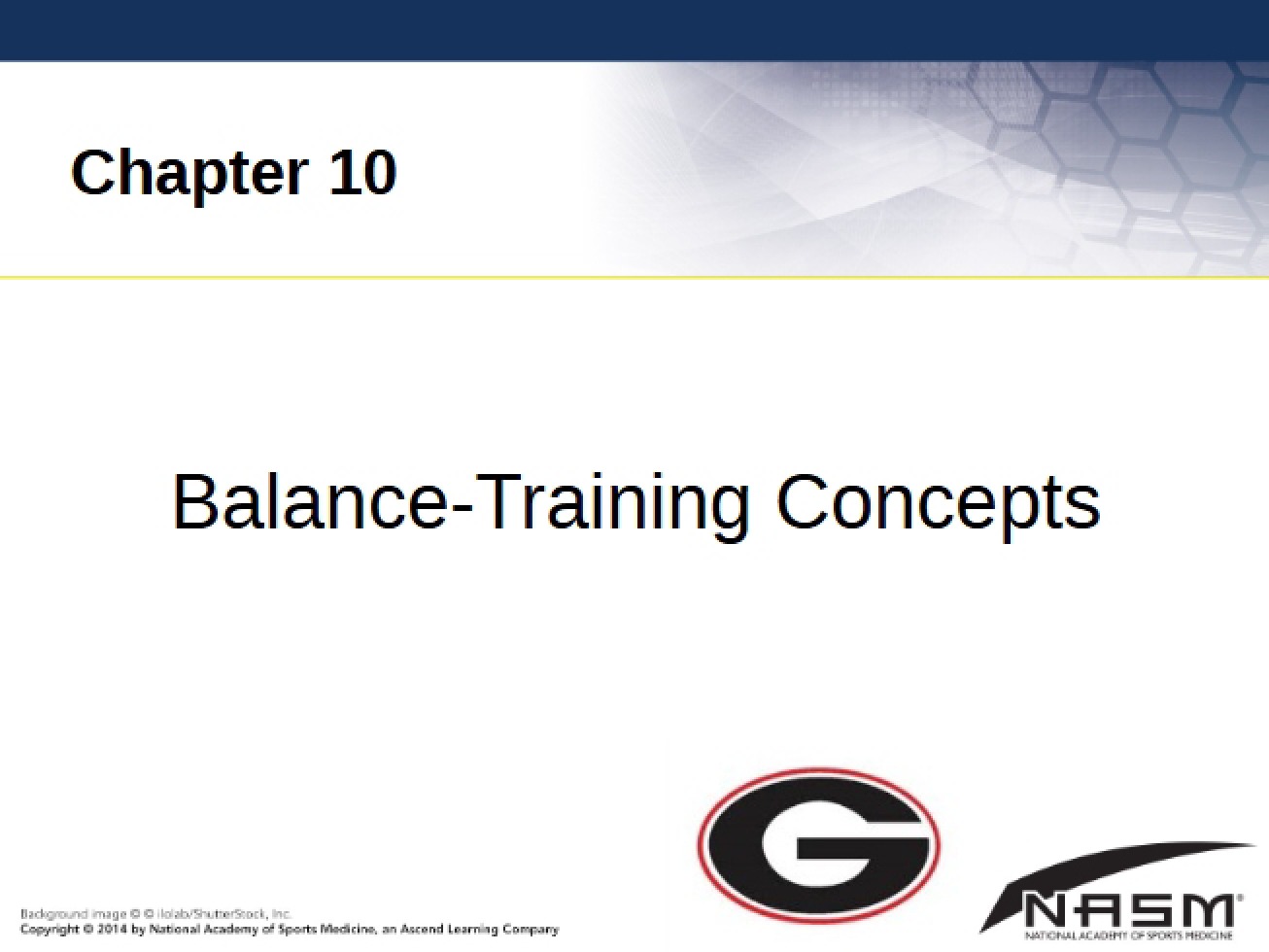 Chapter 10 Balance Training Concepts