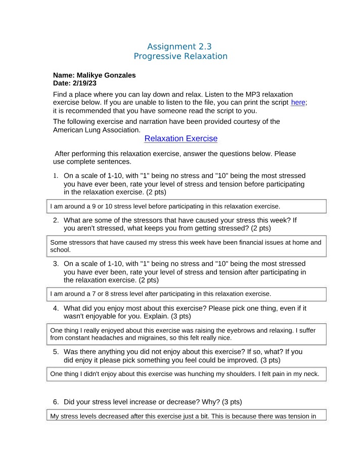 Assignment 2.3 - Progressive Relaxation