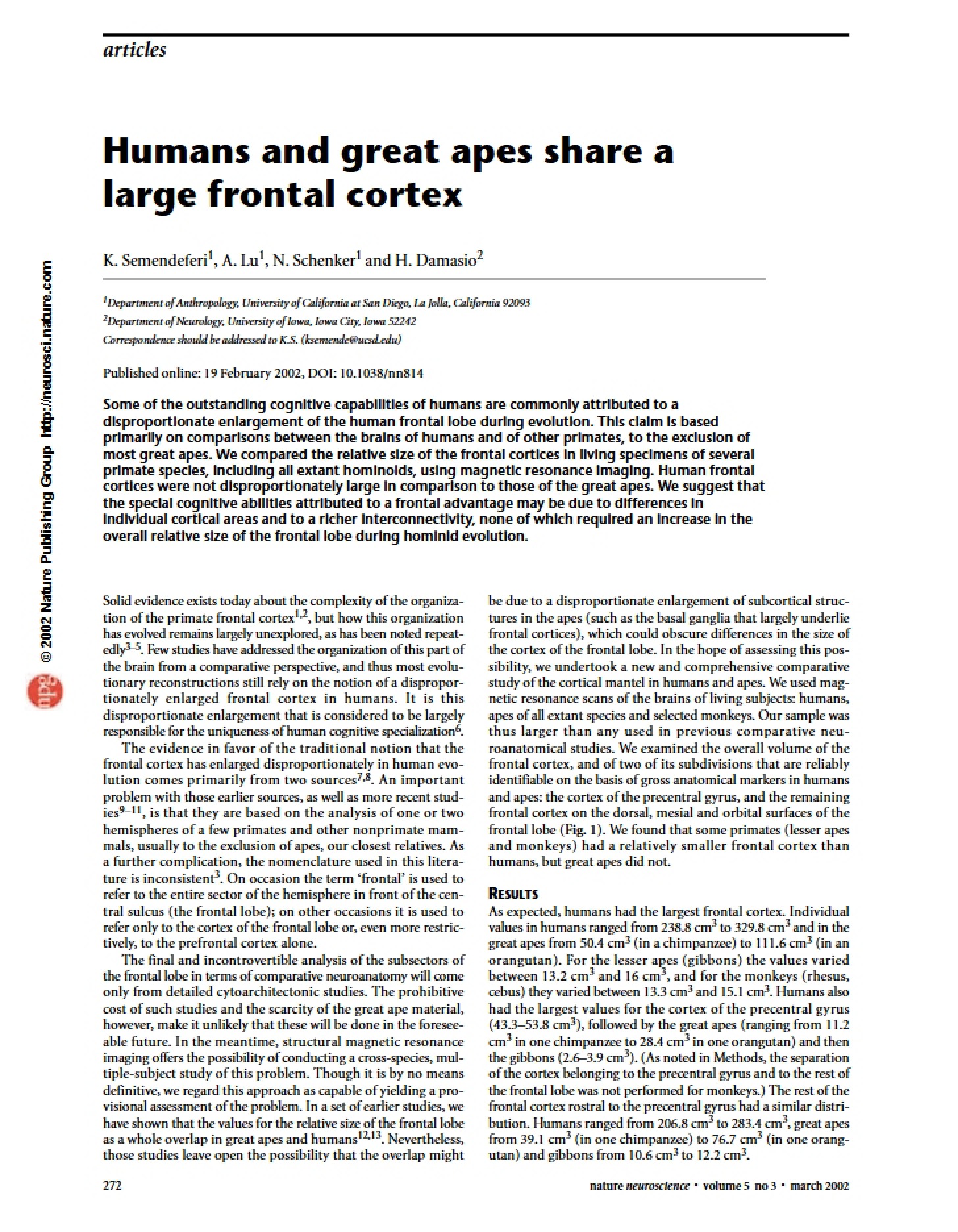 Frontal Cortex Great Apes and Humans