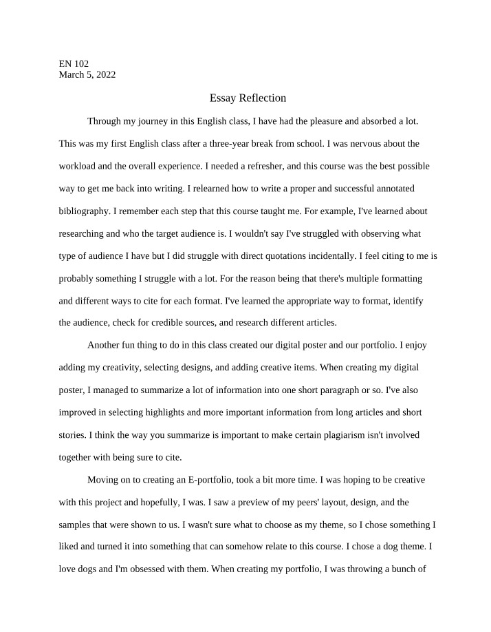 Reflection on the Essay