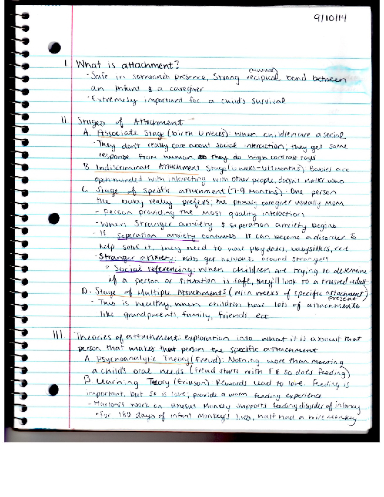 Child Development Lecture Notes