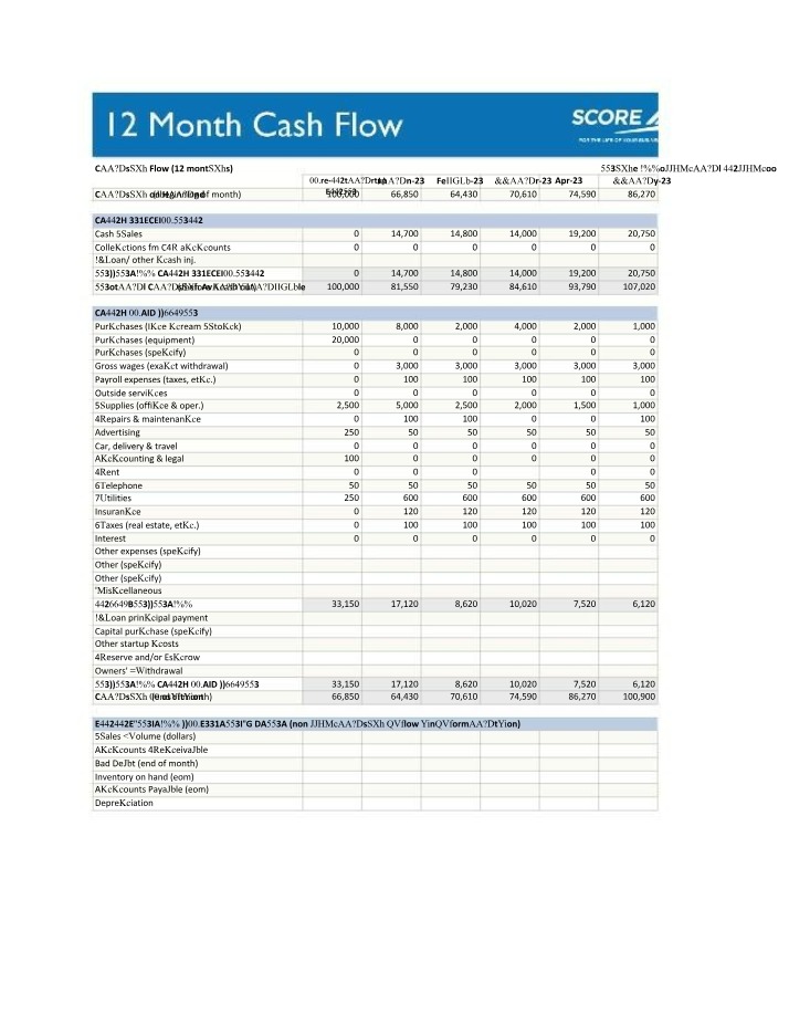 12-Month Cash Flow Plan