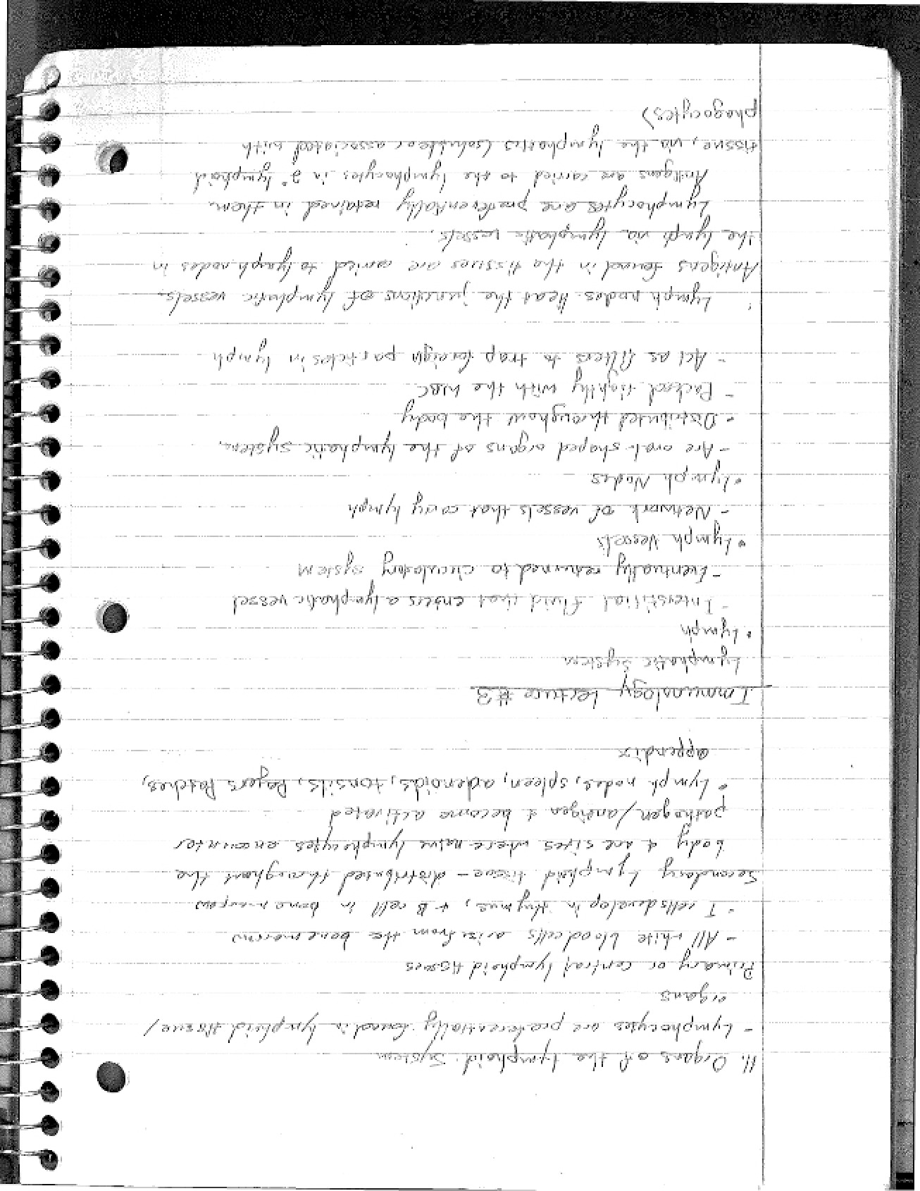Immunology Notes