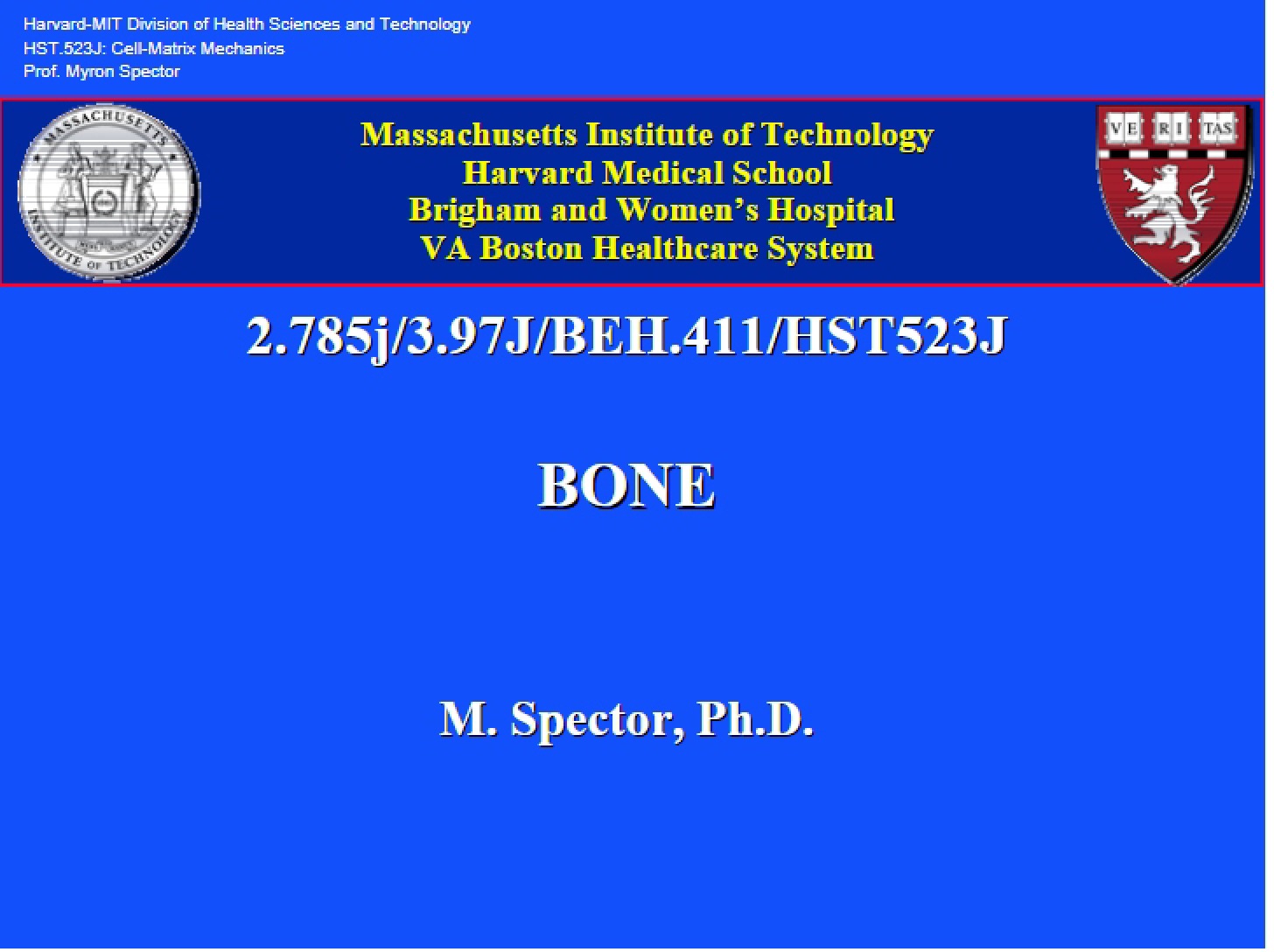 Physiology of Bone