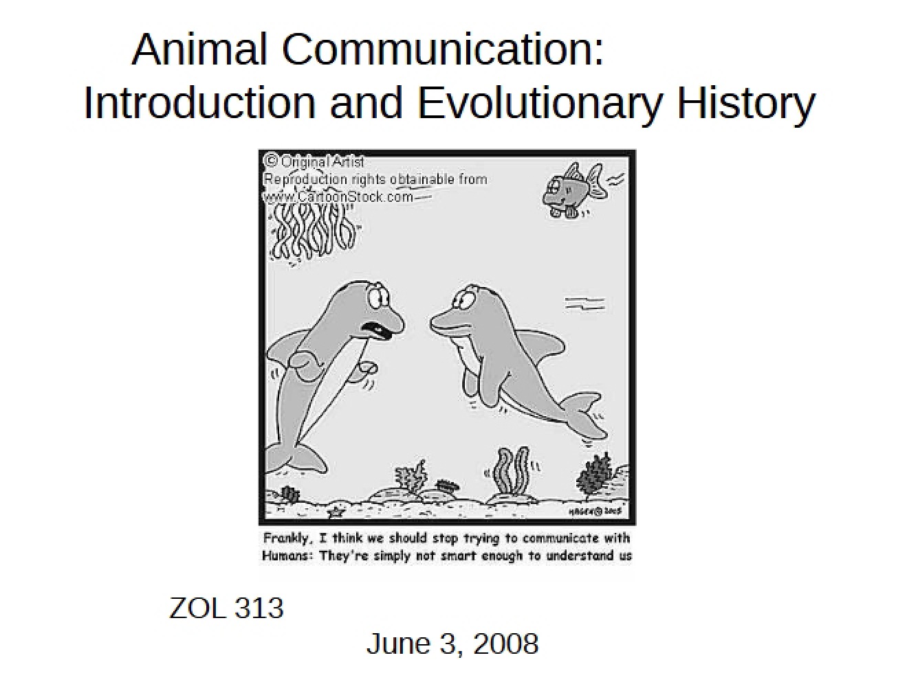 Animal Communication I