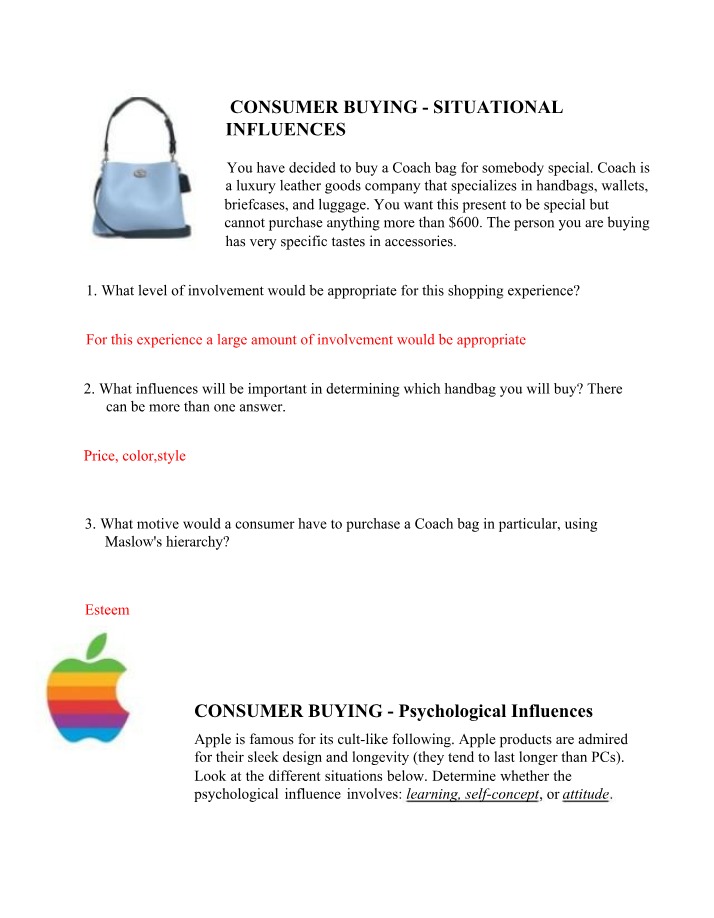 Consumer Buying Influences and Motives