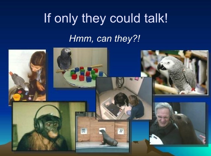 Animal Intelligence and Language