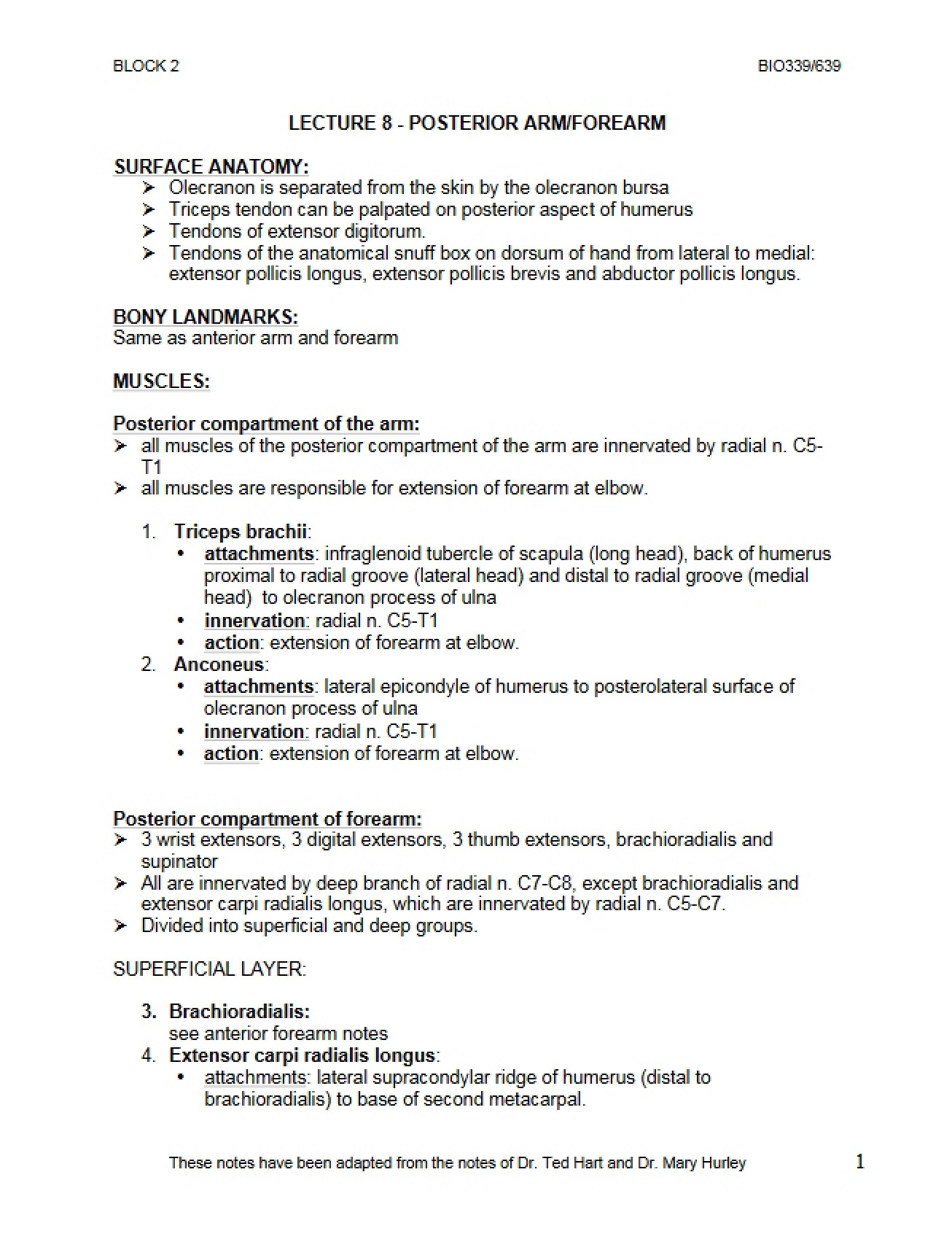 Arm and Forearm Posterior View